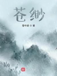 苍缈封面