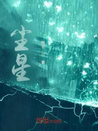 尘星封面