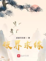 破界求缘封面