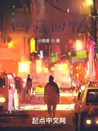 西藏回忆封面