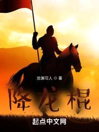 降龙棍封面