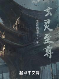 玄灵至尊封面