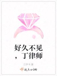 好久不见，丁律师封面