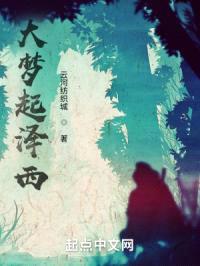 大梦起泽西封面