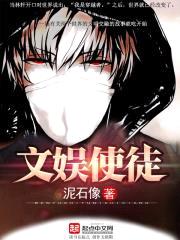 公开穿越者：文化入侵平行蓝星封面