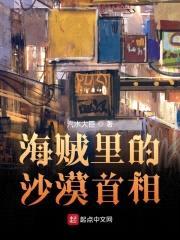 海贼里的沙漠首相封面