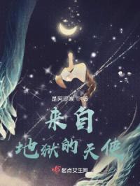 来自异界的天使封面