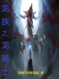 龙族之龙骑士封面
