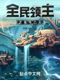 全民领主之星海之王封面
