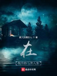 在fate的二次人生封面