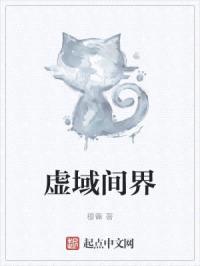 虚域间界封面