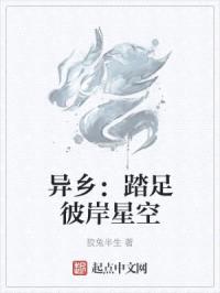 异乡：踏足彼岸星空封面