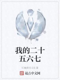 我的二十五六七封面