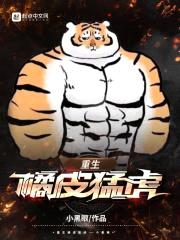 重生橘皮猛虎封面