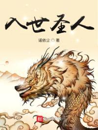 入世圣人封面