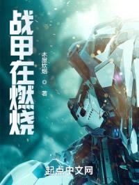 战甲在燃烧封面