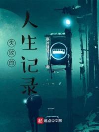 失败的人生记录封面