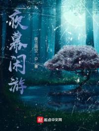 夜幕闲游封面