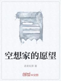 空想家的愿望封面