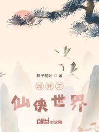 魂穿之仙侠世界封面