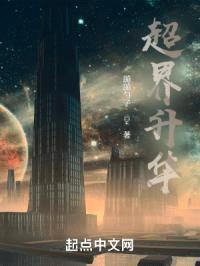 超界升华封面