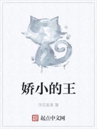 娇小的王封面