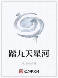 踏九天星河封面