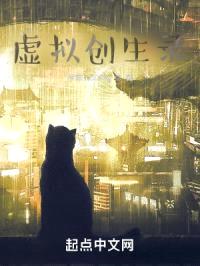 虚拟创生录封面