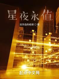 星夜永值封面