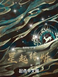 星起缘烁封面