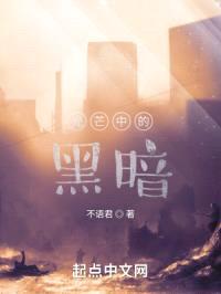 光芒中的黑暗封面