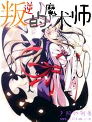 叛逆的魔术师封面