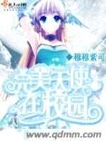 完美天使在校园封面