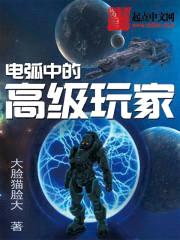 电弧中的高级玩家封面